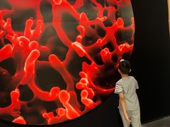 -香港科学馆