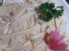 -蓉客成都火锅·招牌麻辣牛杂·特色香辣蹄花(凌水店)