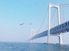 -星海湾跨海大桥