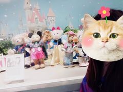 -济州岛泰迪熊博物馆