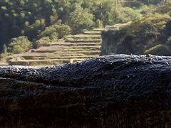 android_upload_pic-石台牯牛降景区