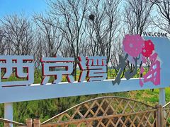 -西京湾花海