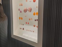 -青岛贝壳博物馆