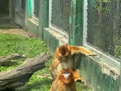 -西安秦岭野生动物园
