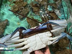 -台山侨雅海鲜粥底火锅(台山侨雅花苑店)