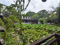 -上海醉白池公园