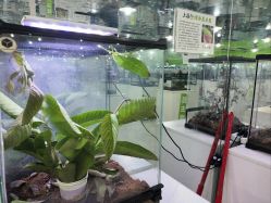 -神奇动物撸宠馆·羊驼·小浣熊·异宠(豫园店)