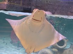 -沈阳海洋探索中心