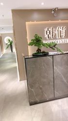 -HQ半永久纹绣纹眉