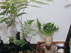 -道南書院·私房菜·早午茶·茶馆