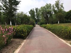 -桤木河湿地公园