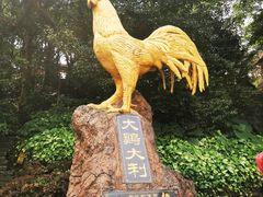 -海口火山口国家地质公园