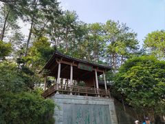 -千岛湖东南湖区