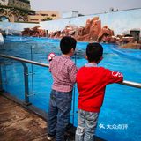 上海海昌公园