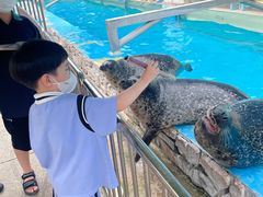 -泉城欧乐堡海洋极地世界