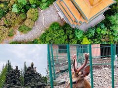 -鸭绿江断桥