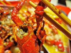 香辣小龙虾-咪佬肥肠鸡，黔江鸡杂，小龙虾(冉家坝店)