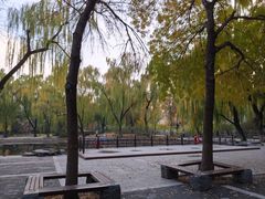 -玲珑塔公园
