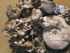 -湖南省地质博物馆