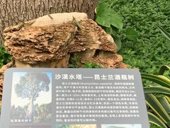 -北京植物园-展览温室