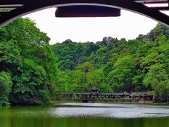 -青城山