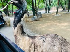 -北京野生动物园