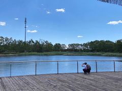 -永定河休闲森林公园