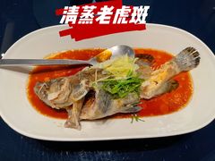 清蒸老虎斑-徐记海鲜(大明宫|北二环店)