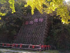 -千年银杏谷文化旅游区