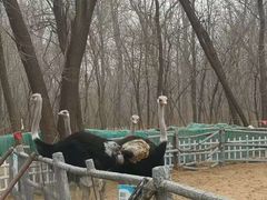 -秦皇岛野生动物园