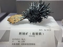 -湖南省地质博物馆