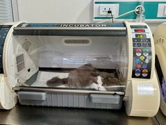 -宠颐生中康贝怡动物医院