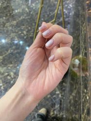 点击看大图 -海星美甲美睫