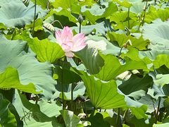 -全国青少年井冈山革命传统教育基地