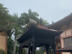 -博鳌禅寺