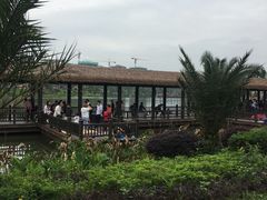 -枫香湖儿童公园