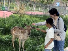 -水上乐园·欢乐世界