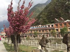 -康定跑马山风景区