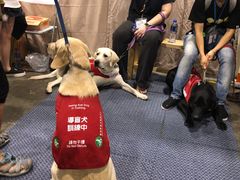 -香港会议展览中心演讲厅