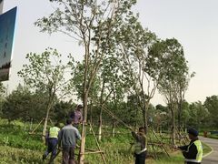 -东郊湿地公园