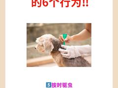 -爱侣·安琦尔宠物医院·中兽医针灸·心内科·狂犬免疫点(宝山区院)