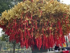 -狼山风景名胜区