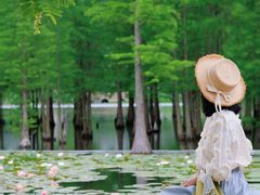 -白鹭湾湿地公园