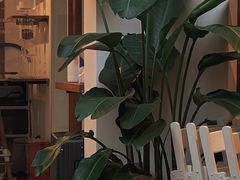 -Line 咖啡(石厦花园店)