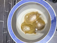 -特味村福园