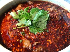 -雀蓝川菜(奥体广场店)