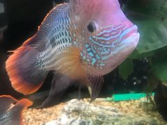 -龟与熊猫宠物公园(南坪店)