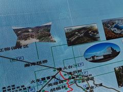 -金塔沙漠胡杨林景区
