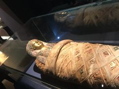 -浙江西湖美术馆