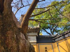 -无锡惠山寺